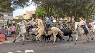 Bandido à Eyragues - 04/06/2022