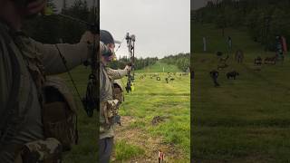 Getting the #mathewsarchery Lift dialed at #totalarcherychallenge in South Dakota! #tac #archery