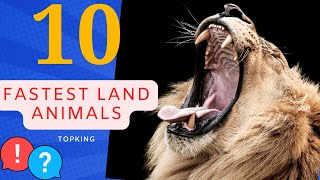 Top 10 fastest land animals | Do you know ?