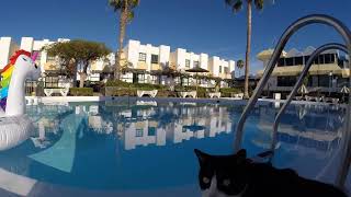 Capri Bungalows and Apartments, Maspalomas Gran Canaria