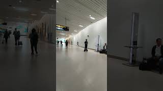 Soetta terminal 3 kedatangan #trending #travel #shortvideo #bandara #pesawat #fyp #tiktok #ytshorts