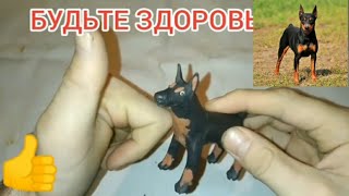 Собачка 🐕 Доберман Из Пластилина 👍