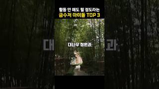 활동 안 해도 될 정도라는 금수저 아이돌 TOP3