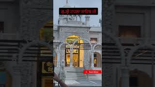 ਗੁਰਦੁਆਰਾ ਸ੍ਰੀ ਟਾਹਲਾ ਸਾਹਿਬ ਜੀ 🙏🕌#viral #youtubeshorts #treanding #shorts #amritsar