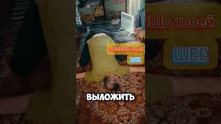 #Больвшее Как помочь?