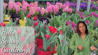 Spring Blooming Bulbs on Sale at Home Depot