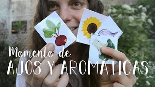 Cosecha de AJOS, plantación de AROMÁTICAS | ¡Hola TIENDA HUERTERA! 🌱💚