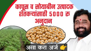 👉कापूस व सोयाबीन उत्पादक शेतकऱ्यांसाठी 5000 रू अनुदान |अश्या पद्धतीने अर्ज करा....📄