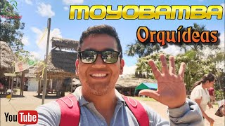 Conociendo la ciudad de las Orquídeas, Moyobamba