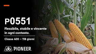 P0551: il mais flessibile, stabile e vincente in ogni contesto