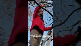 3 primary types of #fruit #tree #pruning!Here we go #agriculture #soil #farming #women #agro #winter