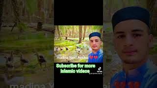 #new short #love madina #live short #short video #kaaba #motivation islamic short #viral short #