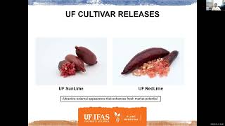 Development of New Finger Lime Cultivars at UF