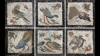 Conservation and Display of Roman Mosaics at Kom el Dikka