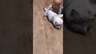 Love between Cat and Baby 🥰!