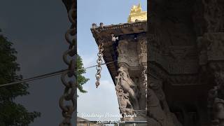 Varadaraja Perumal Temple- Kanchipuram #religion # #hindutemple #devotional #tamilnadu