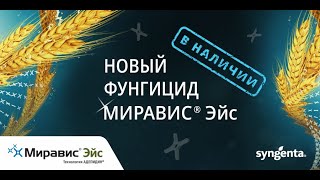 МИРАВИС® Эйс. Здоровый колос – легко!