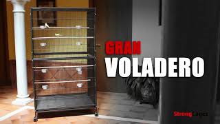 Gran Voladero StrongCages ⚡ 🦜🐦