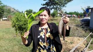 Village Food Factory - Beautiful Girl cooking Cambodian food - Amazing street food(part 09)