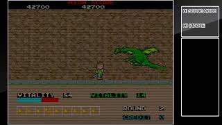 Arcade Archives Dragon Busteri [PS4] 1cc Gameplay Sample