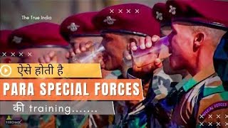 Training of Para SF Commando | Indian Para Commando Training | The True India