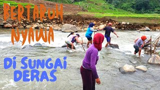 Perjuangan Para Petani Menyeberangi Sungai Deras | Kehidupan Pedesaan |  4K