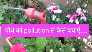 Plant care in pollution, pollution से पौधे को कैसे बचाएं