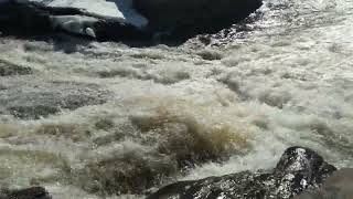 Austin T. Blakeslee Natural Area waterfall rushing water (2021)