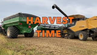 IT'S  HARVEST  TIME