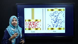 Science Grade 7 Chapter 10 Knowledge 10.4 Lecture 6 || NCP 2022-23 ||