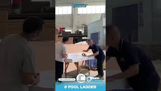 Swimming Pool Ladder