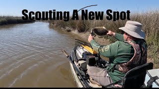 Hidden Marsh Creek Holds Nice Fish