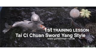 1st Training Tai Chi Sword Yang Style