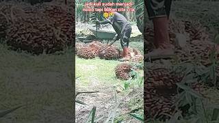 Jadi kuli sudah menjadi nasib bukanya cita cita #videoshorts .