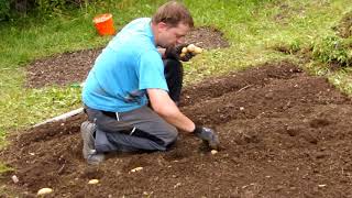 Anleitung Gemüsegarten anlegen in kurzer Zeit Rasen Wiese in Gemüsebeete umwandeln Kartoffel setzen