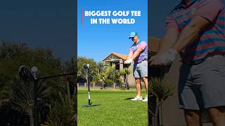 This Was FUN! #golf #golfer #funny #shorts