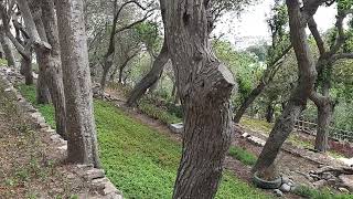 Parque Ecológico Loma Amarilla | Tarpuy 🍃