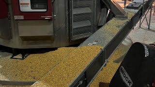 Corn problems and a new combine