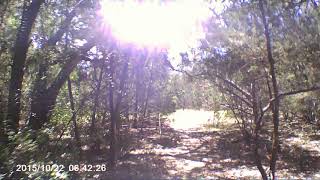 Mountain Biking Dragon Trail Lake Georgetown 5