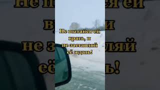 Не потеряй Любимую…