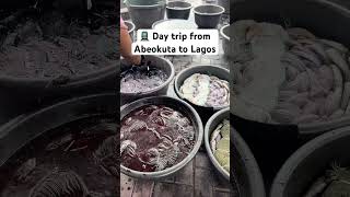 Day trip - What you need to know #adire #tyedye #abeokuta #daytrip #travelvlog #travelnigeria