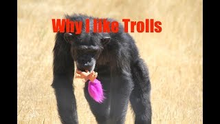 The Whatever, Episode 30, Why I like Trolls