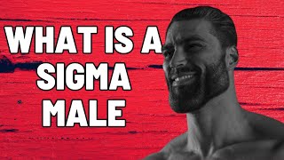 what a sigma male is and how to know if you are one