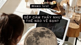 CHỌN 1 TỤ BÀI: SẾP CẢM THẤY NHƯ THẾ NÀO VỀ BẠN?