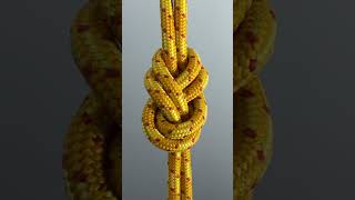 How To Tie A Savoy Knot｜Figure-Eight Knot  #knot #knotskills #knotrope