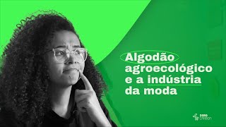 Você sabia que o ALGODÃO AGROECOLÓGICO pode AJUDAR o meio ambiente e a indústria da MODA?