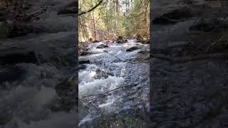 waterfall on my property