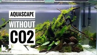 Aquascape Setup with Low Tech |Membuat Aquascape|水草造景