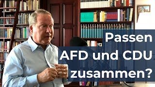 Das passiert aktuell mit AFD und CDU | Max Otte