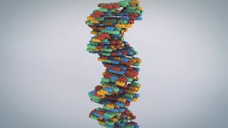 What are DNA & Genes?